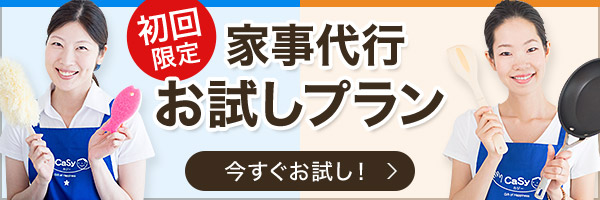 お得なCaSyのトライアルプラン